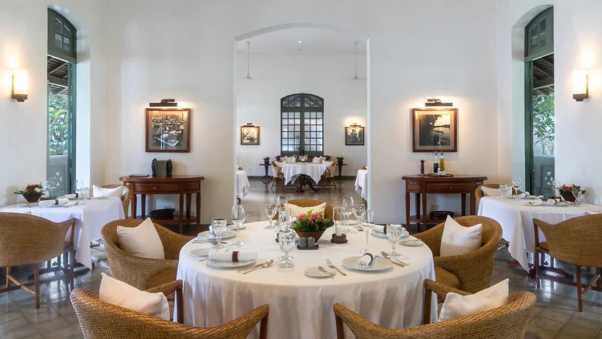 Restaurant & Gastronomía